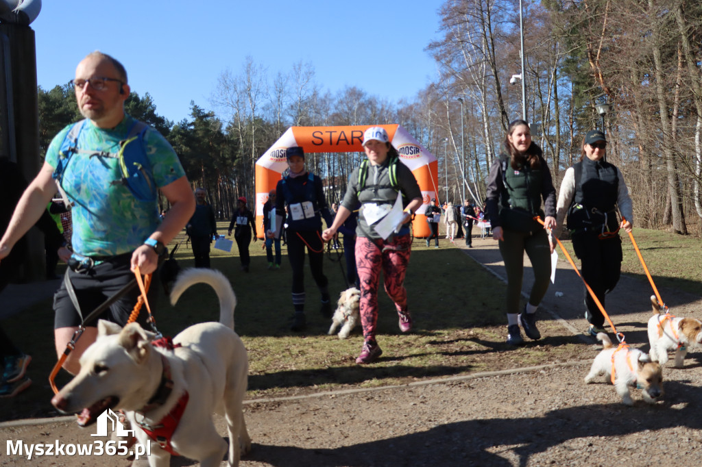 Fotorelacja I: Jurajski Dogtrekking w Myszkowie