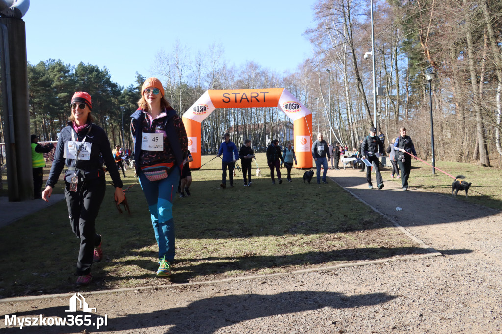 Fotorelacja I: Jurajski Dogtrekking w Myszkowie