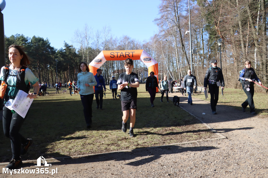 Fotorelacja I: Jurajski Dogtrekking w Myszkowie