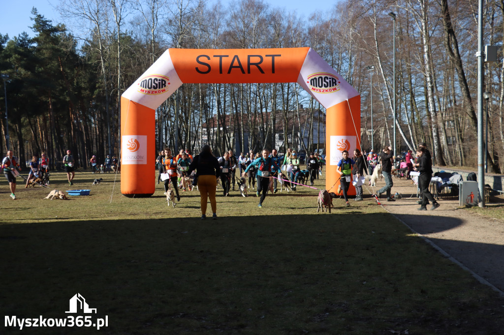 Fotorelacja I: Jurajski Dogtrekking w Myszkowie