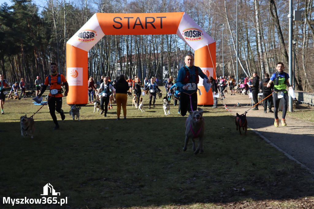 Fotorelacja I: Jurajski Dogtrekking w Myszkowie