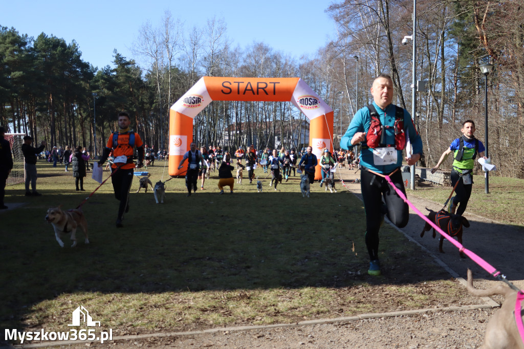 Fotorelacja I: Jurajski Dogtrekking w Myszkowie