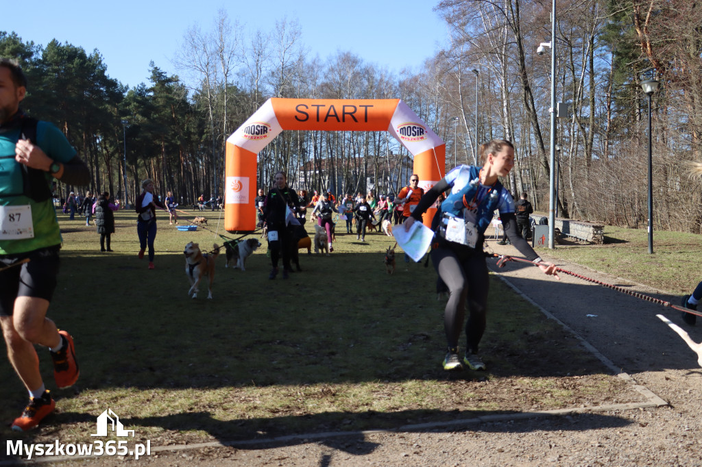 Fotorelacja I: Jurajski Dogtrekking w Myszkowie