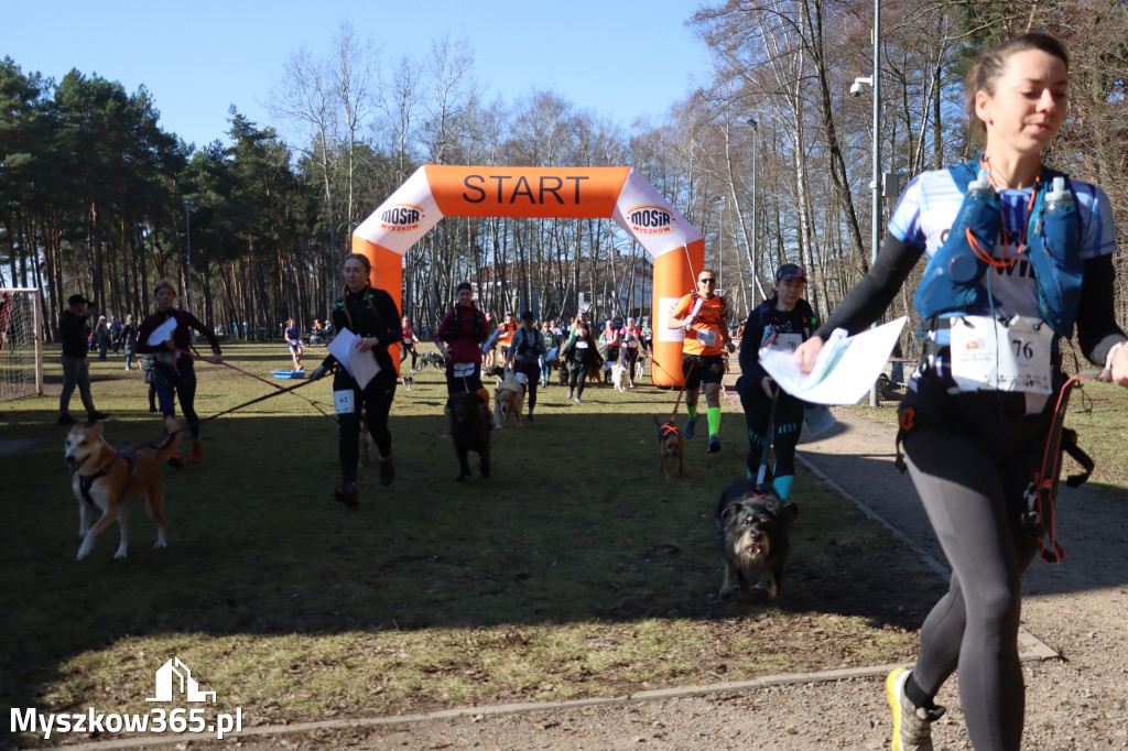 Fotorelacja I: Jurajski Dogtrekking w Myszkowie
