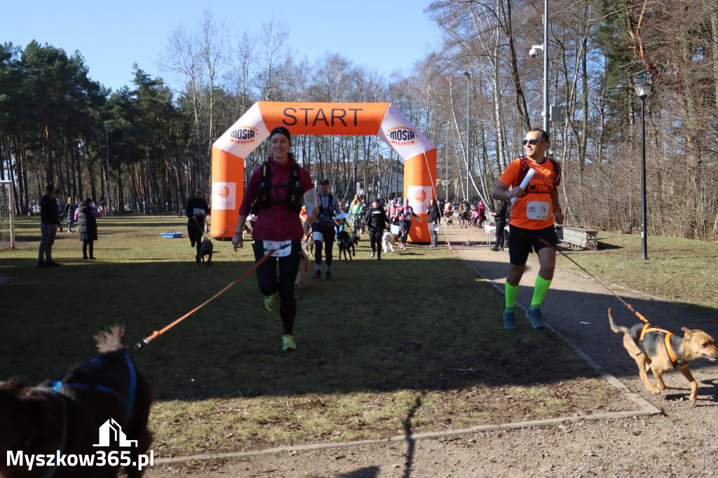 Fotorelacja I: Jurajski Dogtrekking w Myszkowie