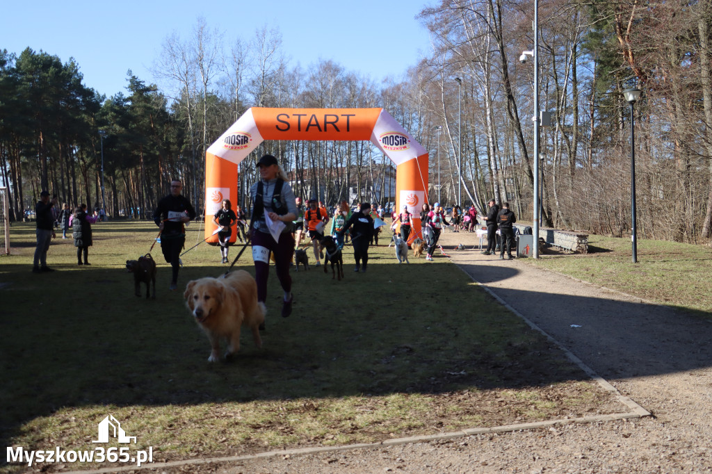 Fotorelacja I: Jurajski Dogtrekking w Myszkowie