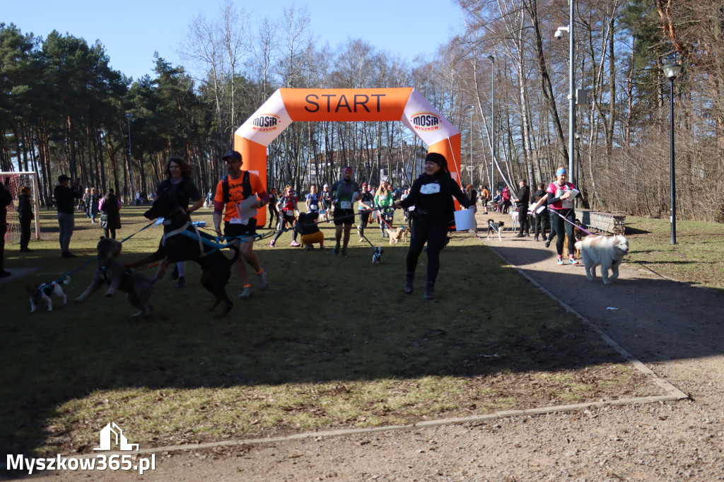 Fotorelacja I: Jurajski Dogtrekking w Myszkowie