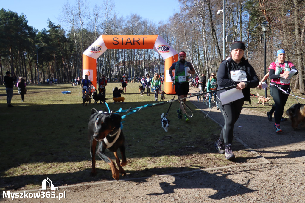 Fotorelacja I: Jurajski Dogtrekking w Myszkowie