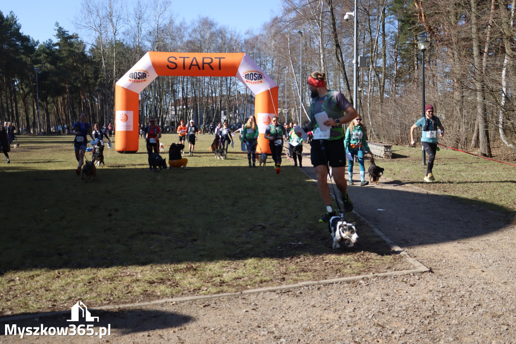 Fotorelacja I: Jurajski Dogtrekking w Myszkowie