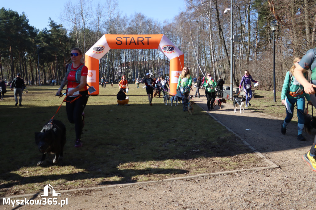 Fotorelacja I: Jurajski Dogtrekking w Myszkowie