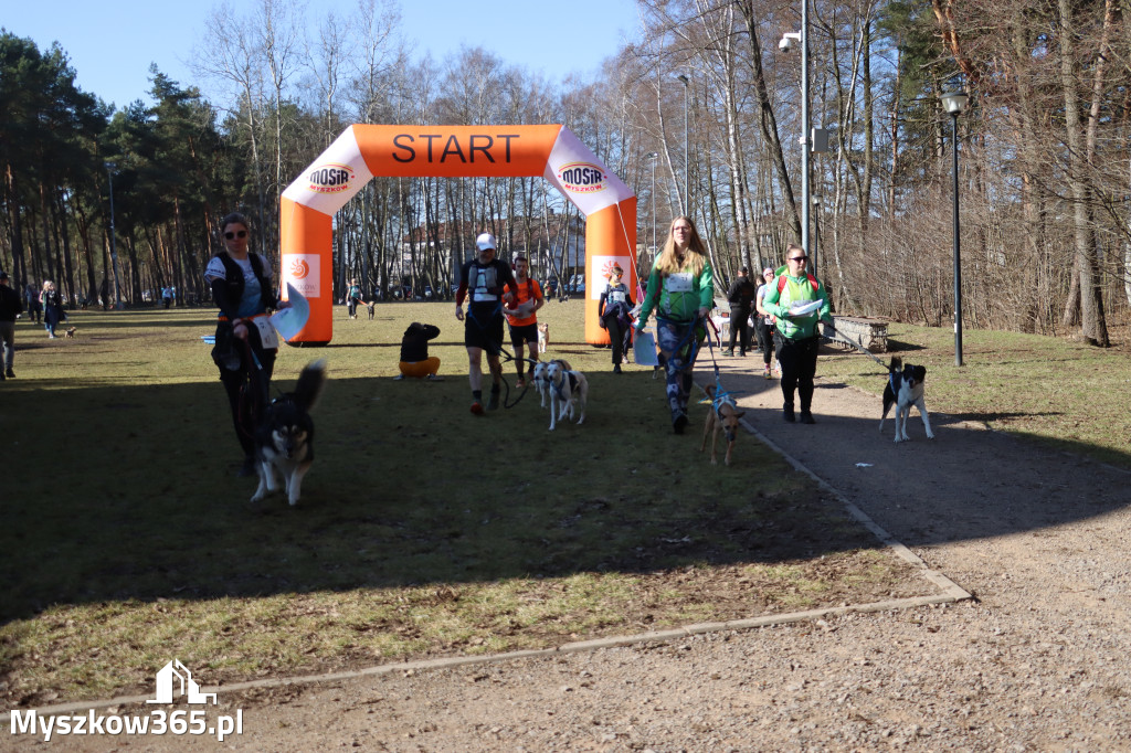 Fotorelacja I: Jurajski Dogtrekking w Myszkowie