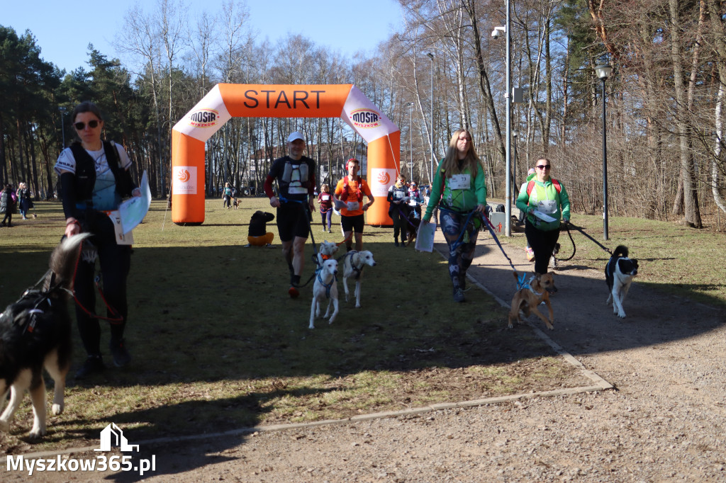 Fotorelacja I: Jurajski Dogtrekking w Myszkowie