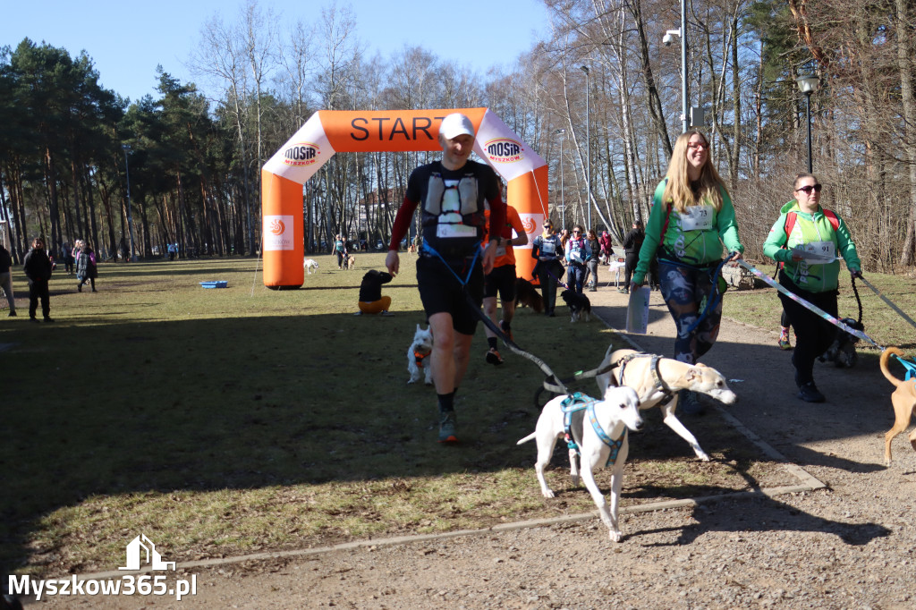 Fotorelacja I: Jurajski Dogtrekking w Myszkowie