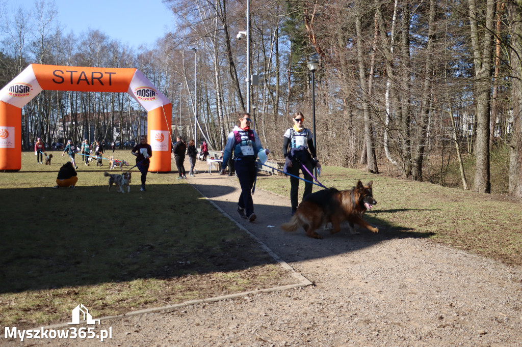 Fotorelacja I: Jurajski Dogtrekking w Myszkowie