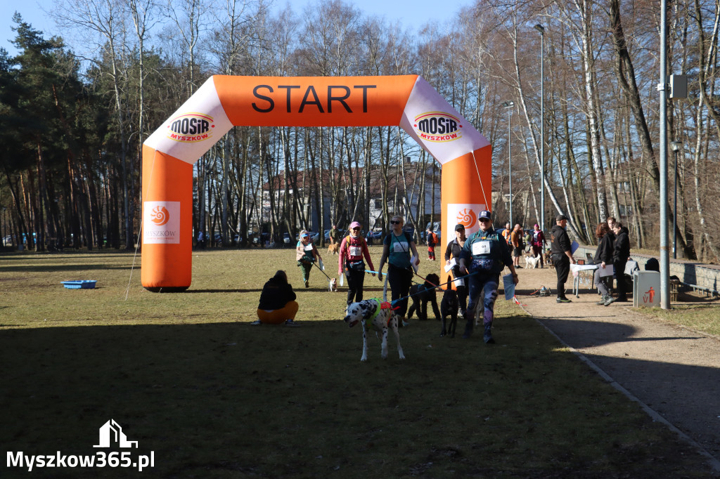 Fotorelacja I: Jurajski Dogtrekking w Myszkowie