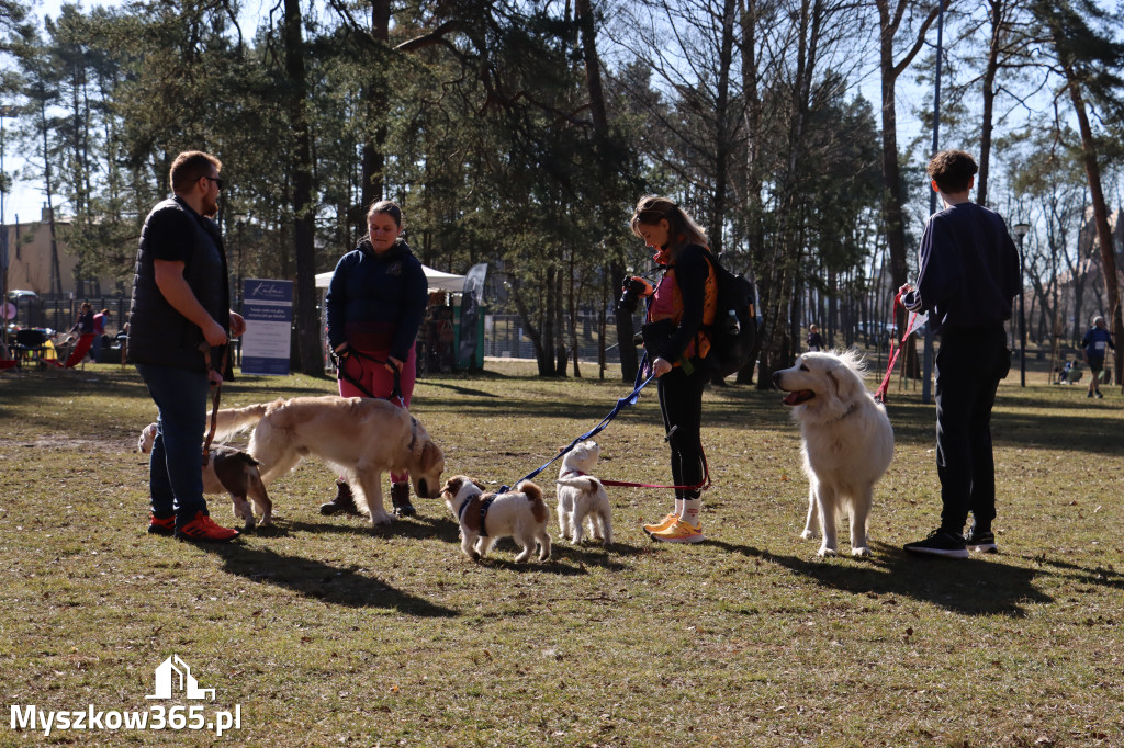 Fotorelacja I: Jurajski Dogtrekking w Myszkowie