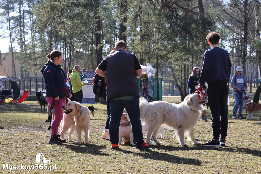 Fotorelacja I: Jurajski Dogtrekking w Myszkowie