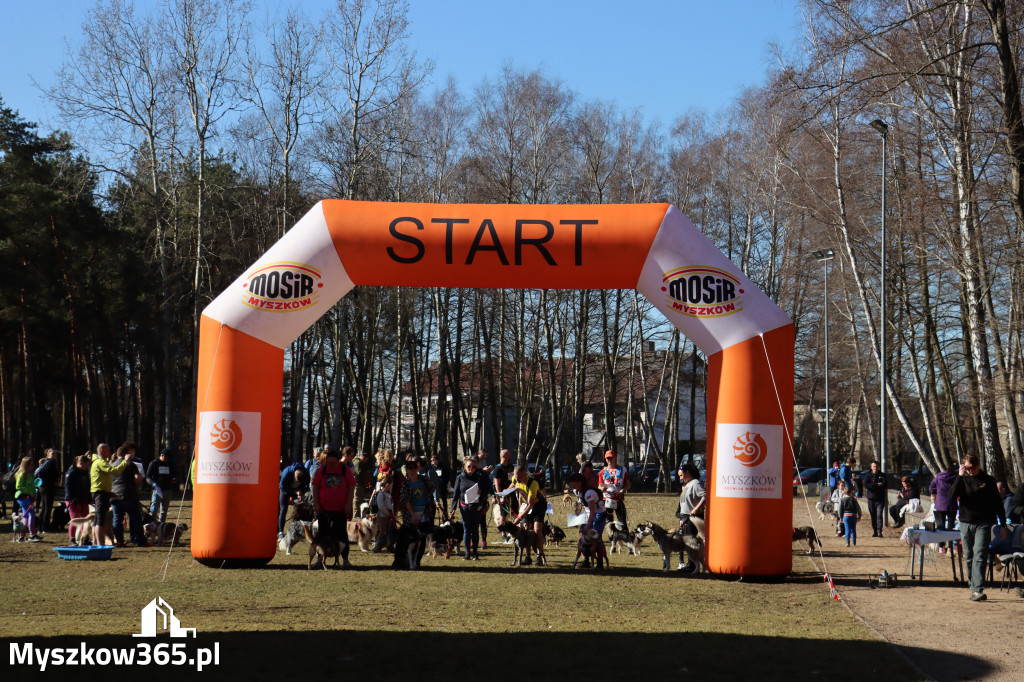 Fotorelacja I: Jurajski Dogtrekking w Myszkowie