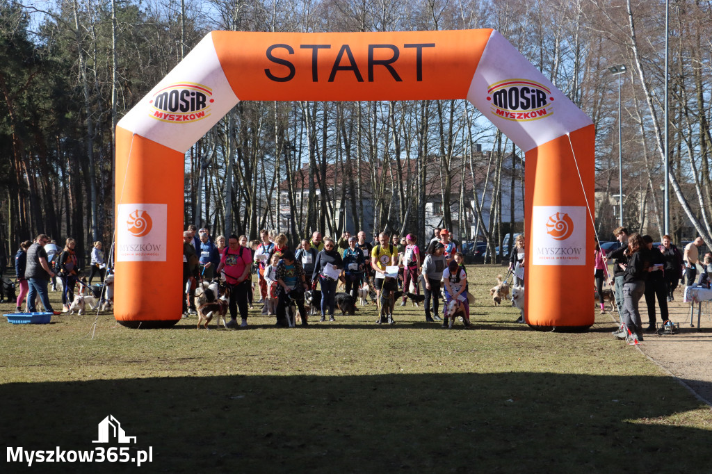 Fotorelacja I: Jurajski Dogtrekking w Myszkowie