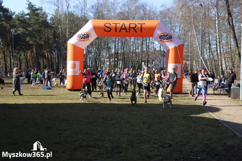Fotorelacja I: Jurajski Dogtrekking w Myszkowie