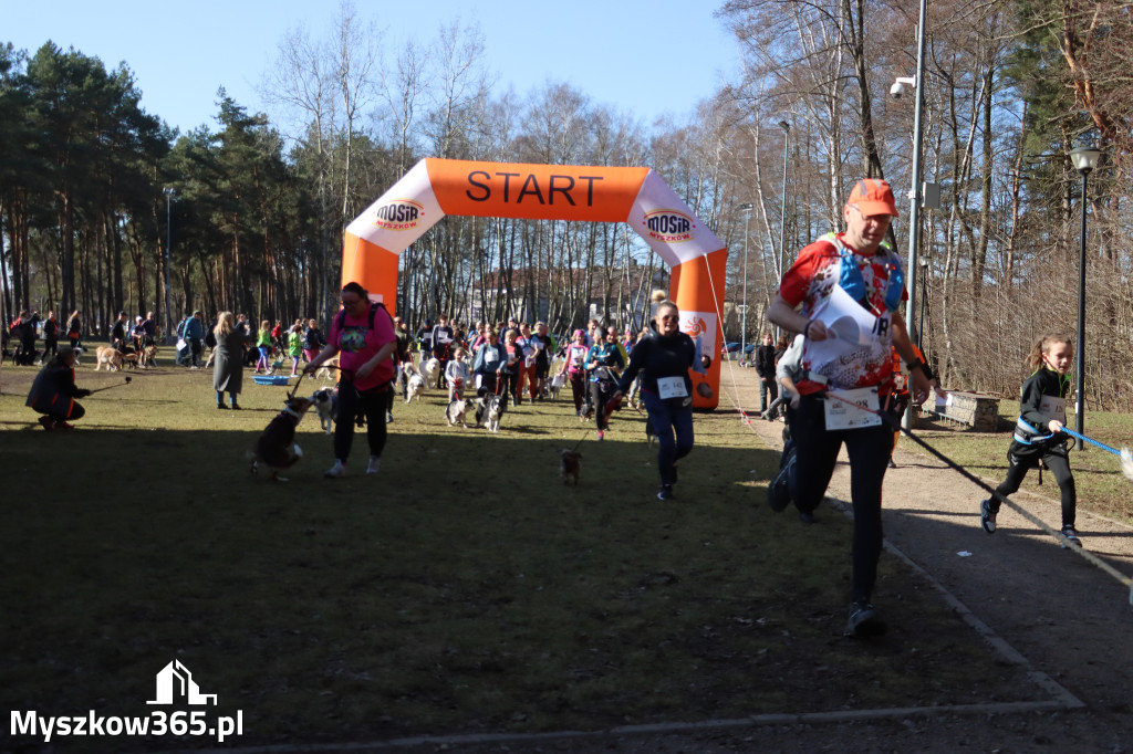 Fotorelacja I: Jurajski Dogtrekking w Myszkowie