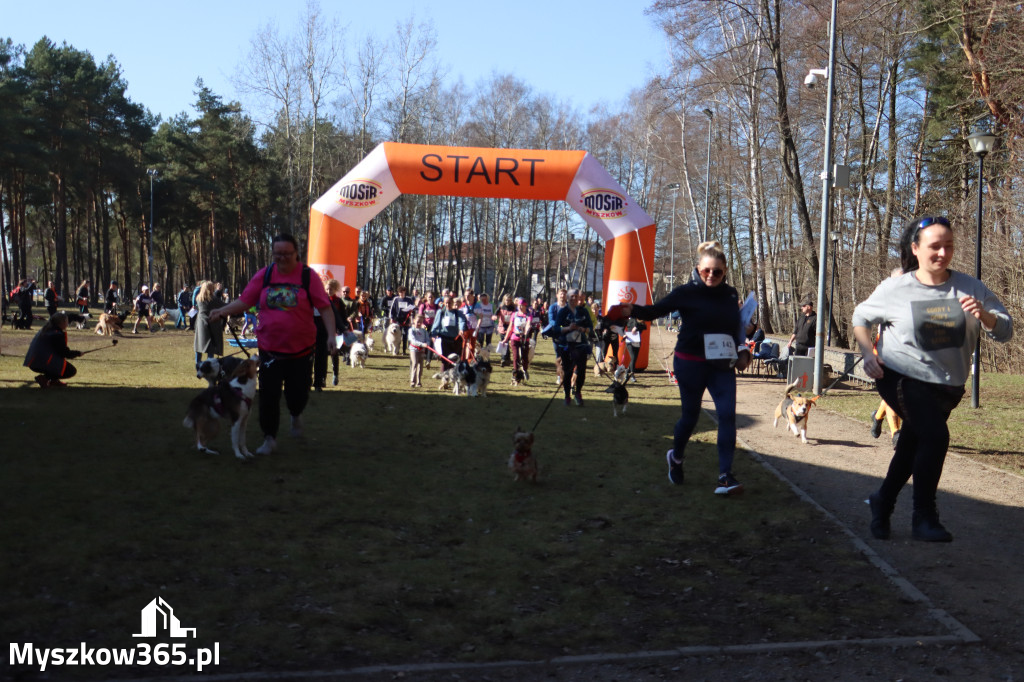 Fotorelacja I: Jurajski Dogtrekking w Myszkowie