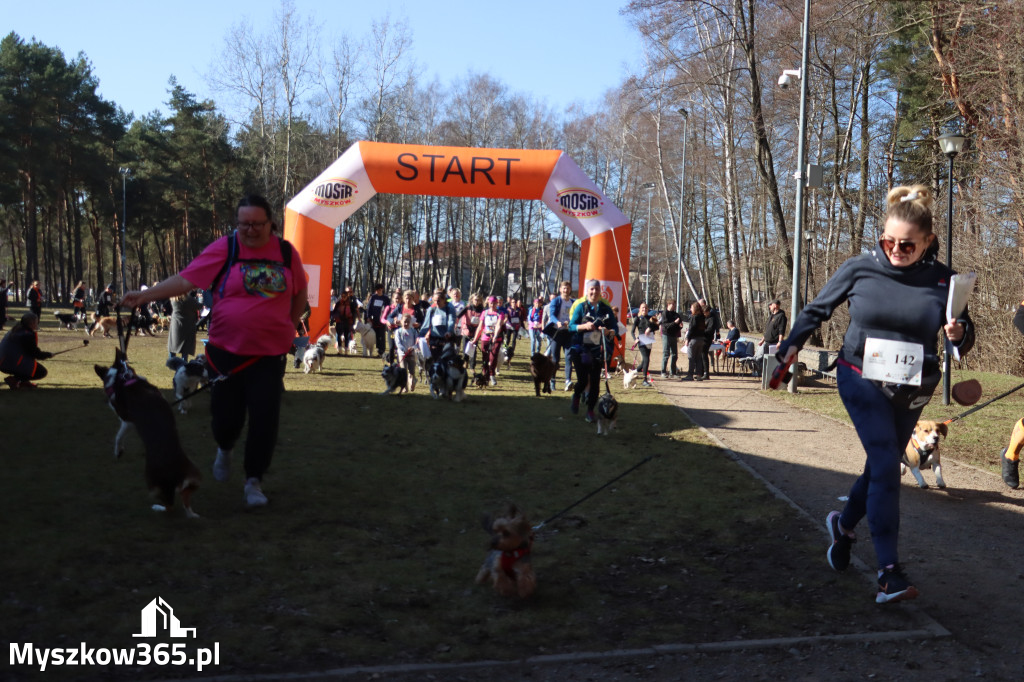 Fotorelacja I: Jurajski Dogtrekking w Myszkowie