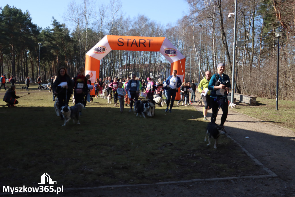 Fotorelacja I: Jurajski Dogtrekking w Myszkowie