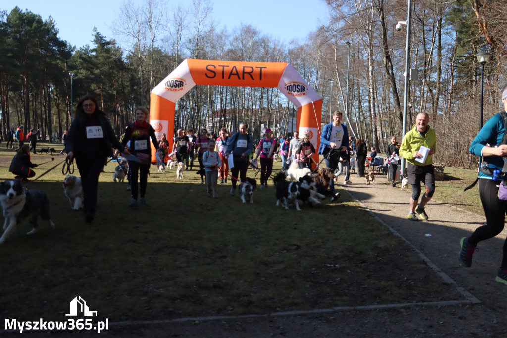 Fotorelacja I: Jurajski Dogtrekking w Myszkowie