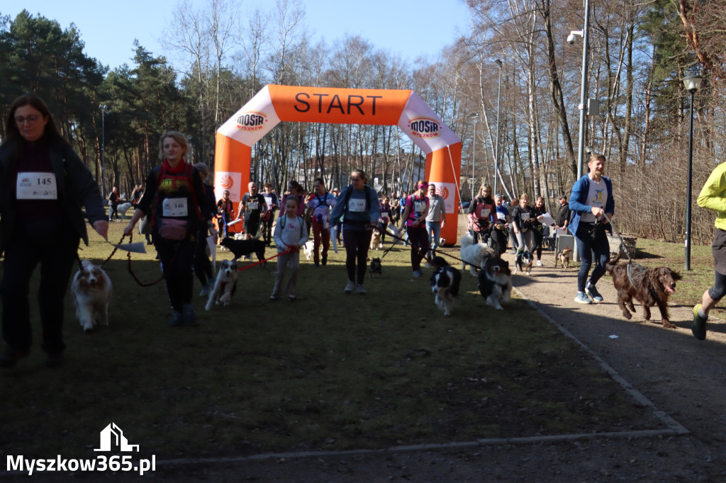 Fotorelacja I: Jurajski Dogtrekking w Myszkowie