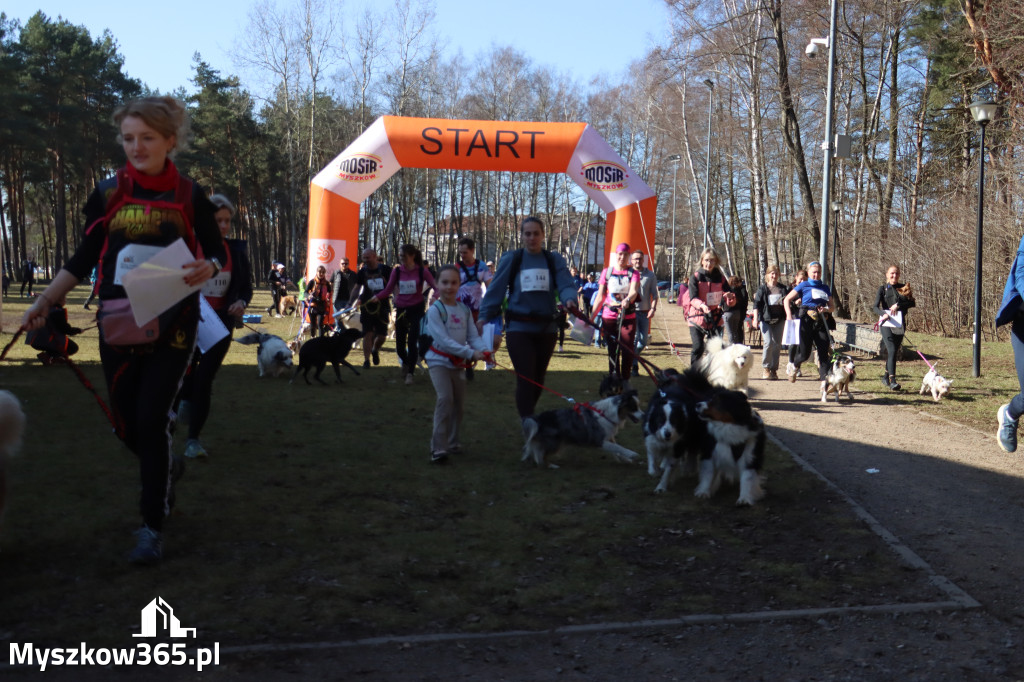 Fotorelacja I: Jurajski Dogtrekking w Myszkowie