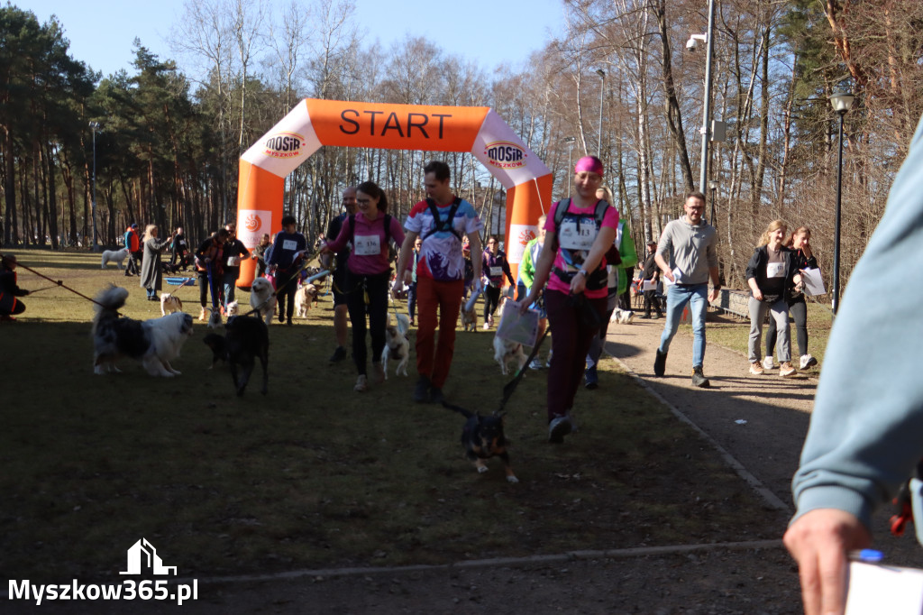 Fotorelacja I: Jurajski Dogtrekking w Myszkowie