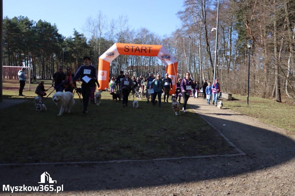 Fotorelacja I: Jurajski Dogtrekking w Myszkowie