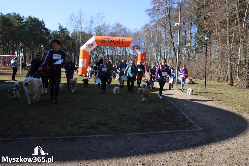 Fotorelacja I: Jurajski Dogtrekking w Myszkowie