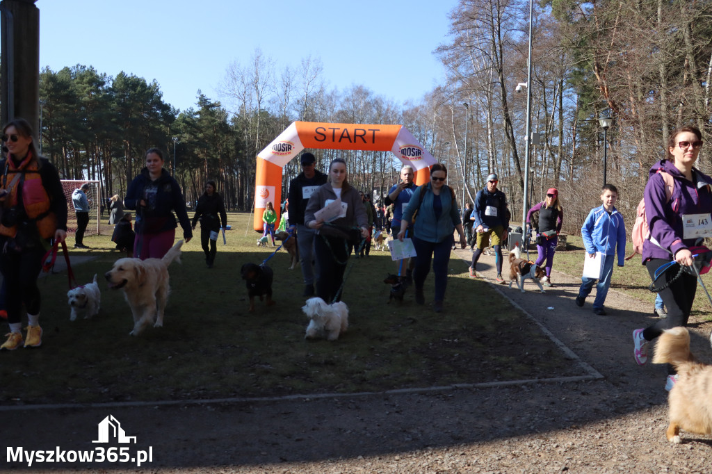 Fotorelacja I: Jurajski Dogtrekking w Myszkowie