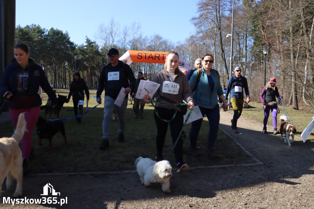Fotorelacja I: Jurajski Dogtrekking w Myszkowie