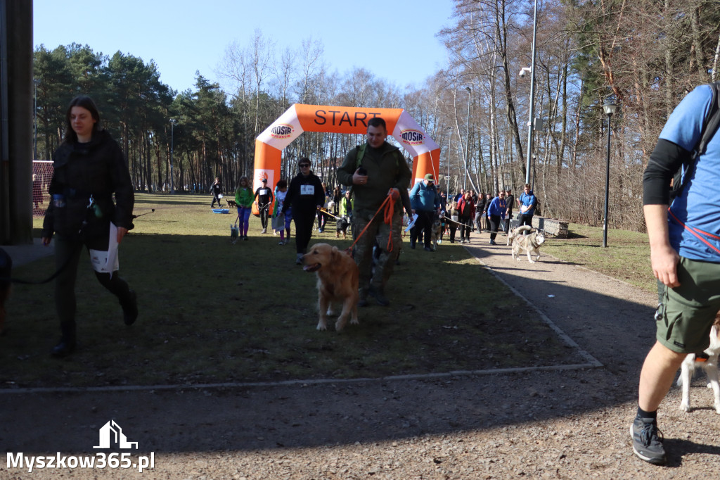 Fotorelacja I: Jurajski Dogtrekking w Myszkowie