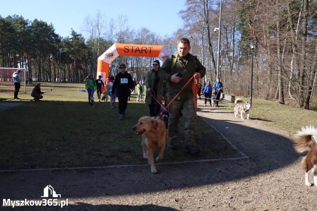 Fotorelacja I: Jurajski Dogtrekking w Myszkowie