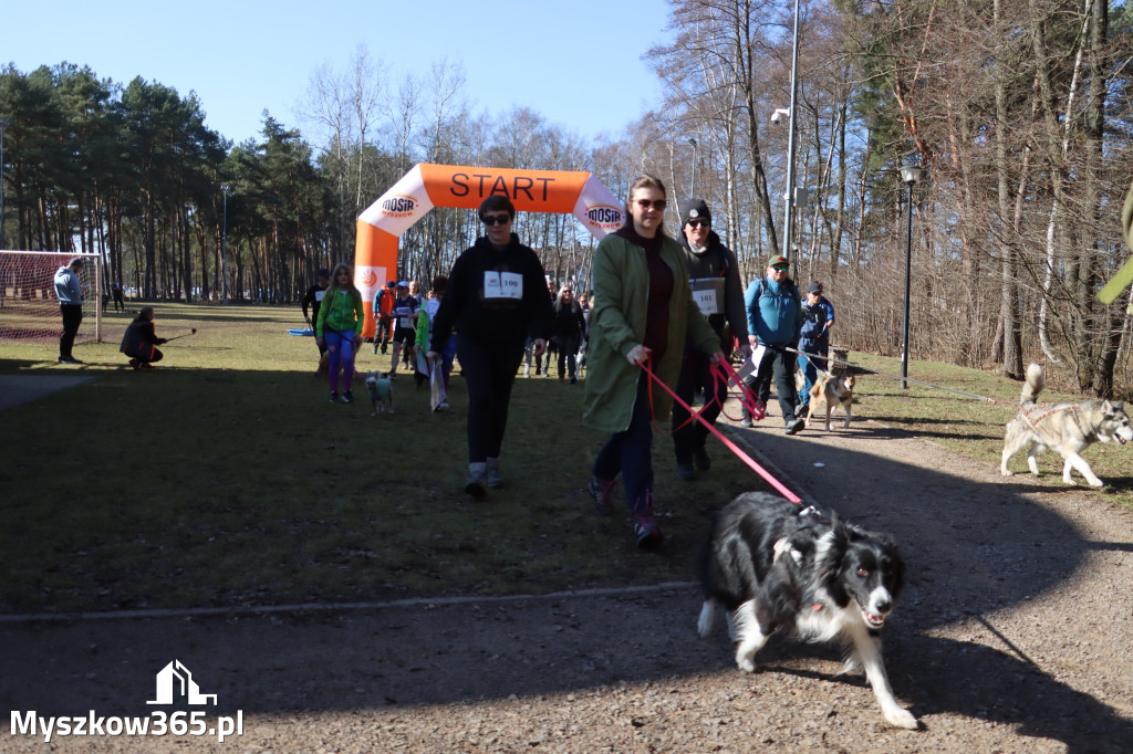 Fotorelacja I: Jurajski Dogtrekking w Myszkowie