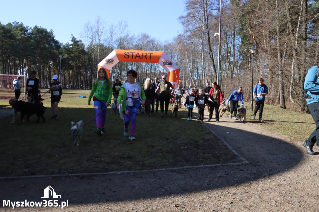 Fotorelacja I: Jurajski Dogtrekking w Myszkowie