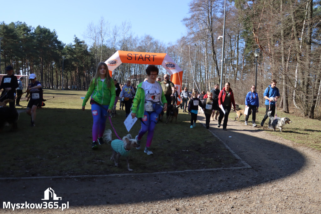Fotorelacja I: Jurajski Dogtrekking w Myszkowie