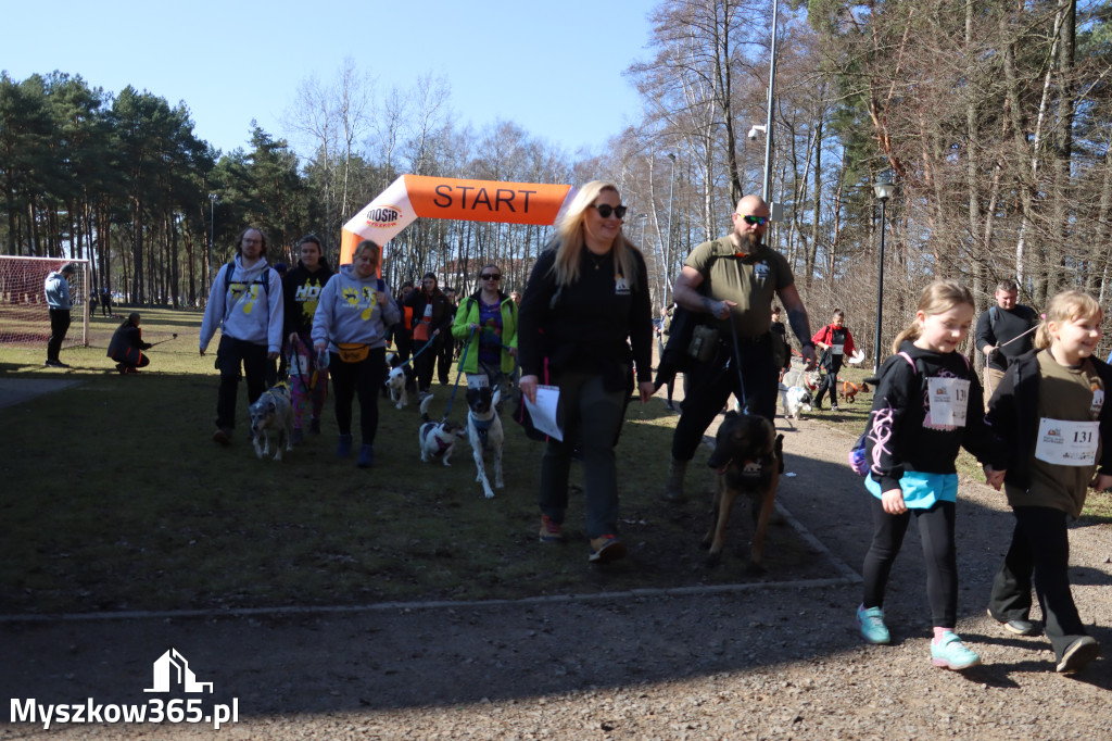 Fotorelacja I: Jurajski Dogtrekking w Myszkowie
