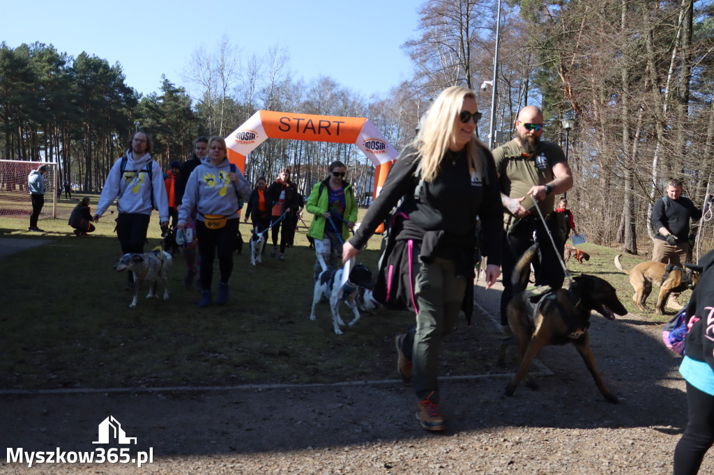 Fotorelacja I: Jurajski Dogtrekking w Myszkowie