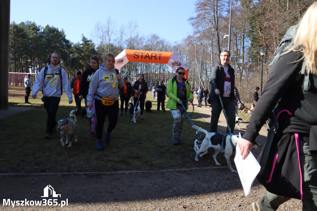 Fotorelacja I: Jurajski Dogtrekking w Myszkowie