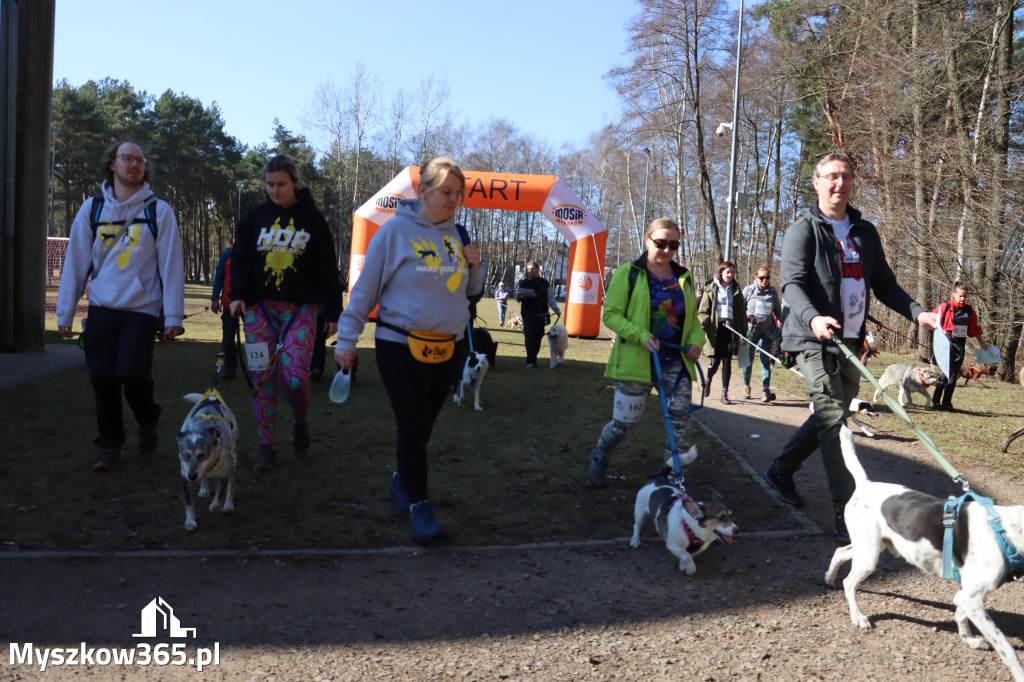 Fotorelacja I: Jurajski Dogtrekking w Myszkowie