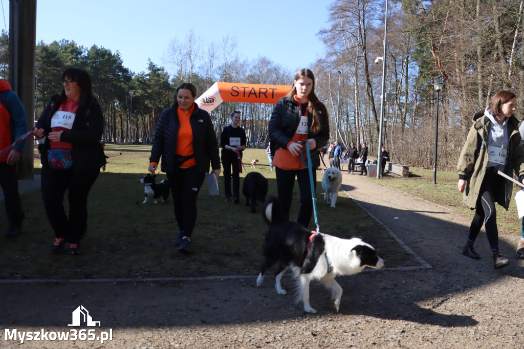 Fotorelacja I: Jurajski Dogtrekking w Myszkowie