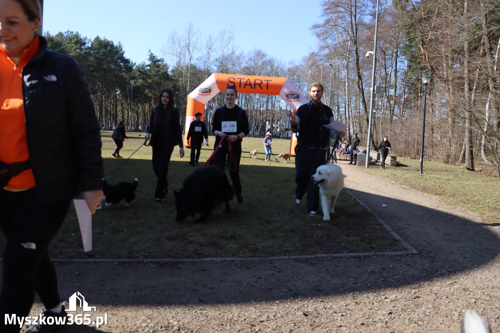 Fotorelacja I: Jurajski Dogtrekking w Myszkowie