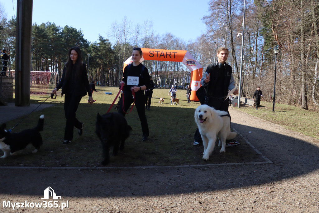 Fotorelacja I: Jurajski Dogtrekking w Myszkowie