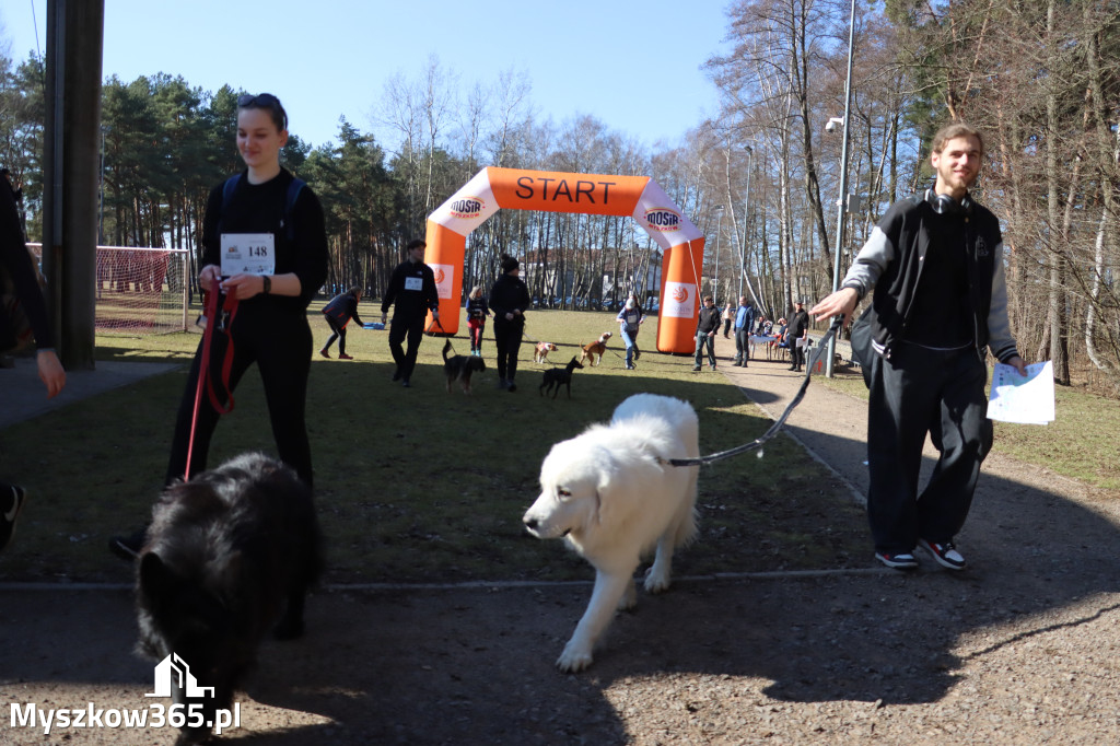 Fotorelacja I: Jurajski Dogtrekking w Myszkowie