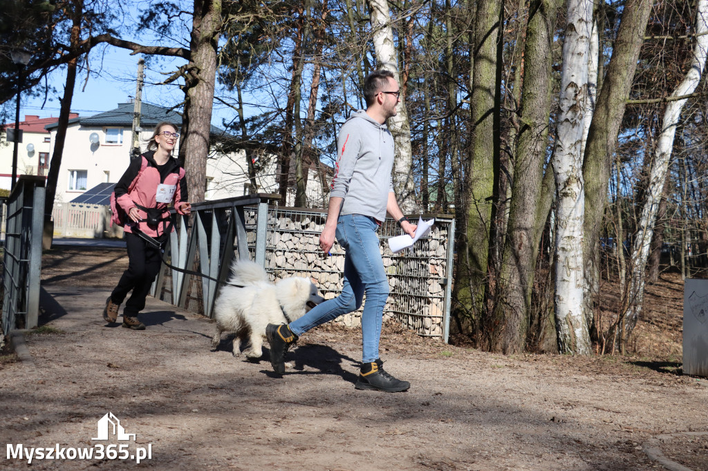 Fotorelacja I: Jurajski Dogtrekking w Myszkowie